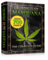 Growing-Marijuana-Ebook-e1353469064534.png