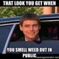 that-look-you-get-when-you-smell-weed-out-in-public.jpg