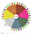 jXSS0pS1Sw2p2eq176GL_Leafly-Cannabis-Terpene-Wheel-Infographic.png