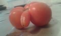 pomidor.jpg