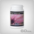 GIB-Industries-CO2-Tabs-Extra-Slow-Dose-60-Tabletten.jpg