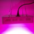 Galaxyhydro-LED-Grow-Plant-Light-300w-Hydroponic-Plant-Grow-Lamp-0-3.jpg