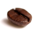 Coffee_bean_transparent.png