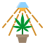 icons8-cannabis-64 (4).png