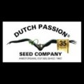 dutch-passion-seed-cannabis-breeder-1-b4f7d3cf.jpeg