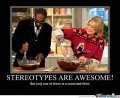 Stererptypes-are-awesome_o_135913.jpg