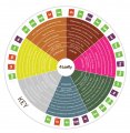 Cannabis-Terpene-Wheel-Infographic.jpg