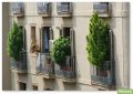 cannabis-balcony-spain.jpg