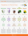 MyDx-Terpene_Infographic-8_5x11-v2-1.png