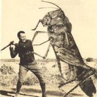 GrasshoppersOnSteroids