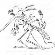 flymosquito
