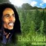 Bob.Marley